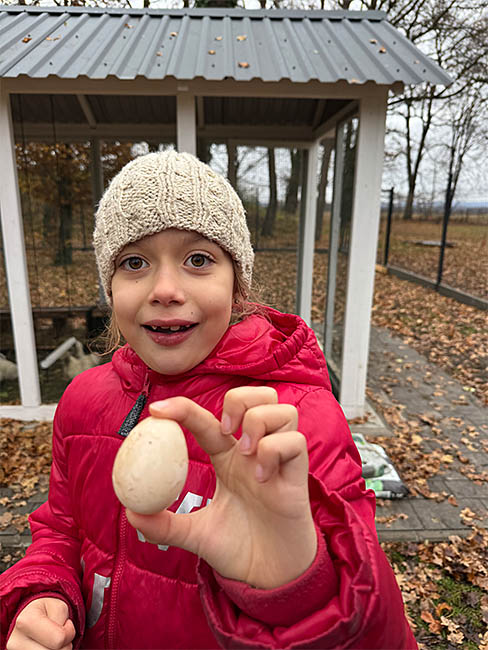 jajko z farmy szkolnej montessori