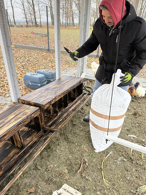 kurnik podlaski gniazda dla niosek
