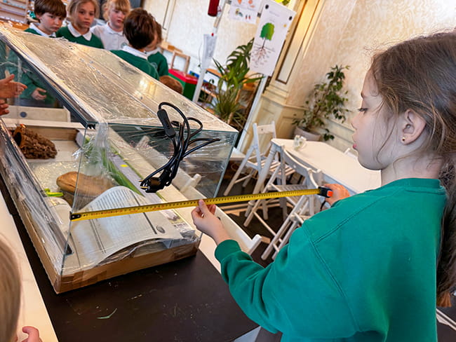 pomiar terrarium dla zolwia greckiego