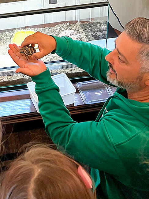 zolw grecki hodowla na farmie montessori