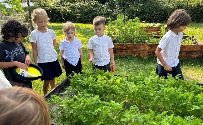 farma montessori grzadki wysokie skrzynie